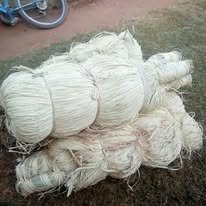 raffia